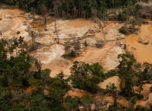 arco minero Canaima unesco