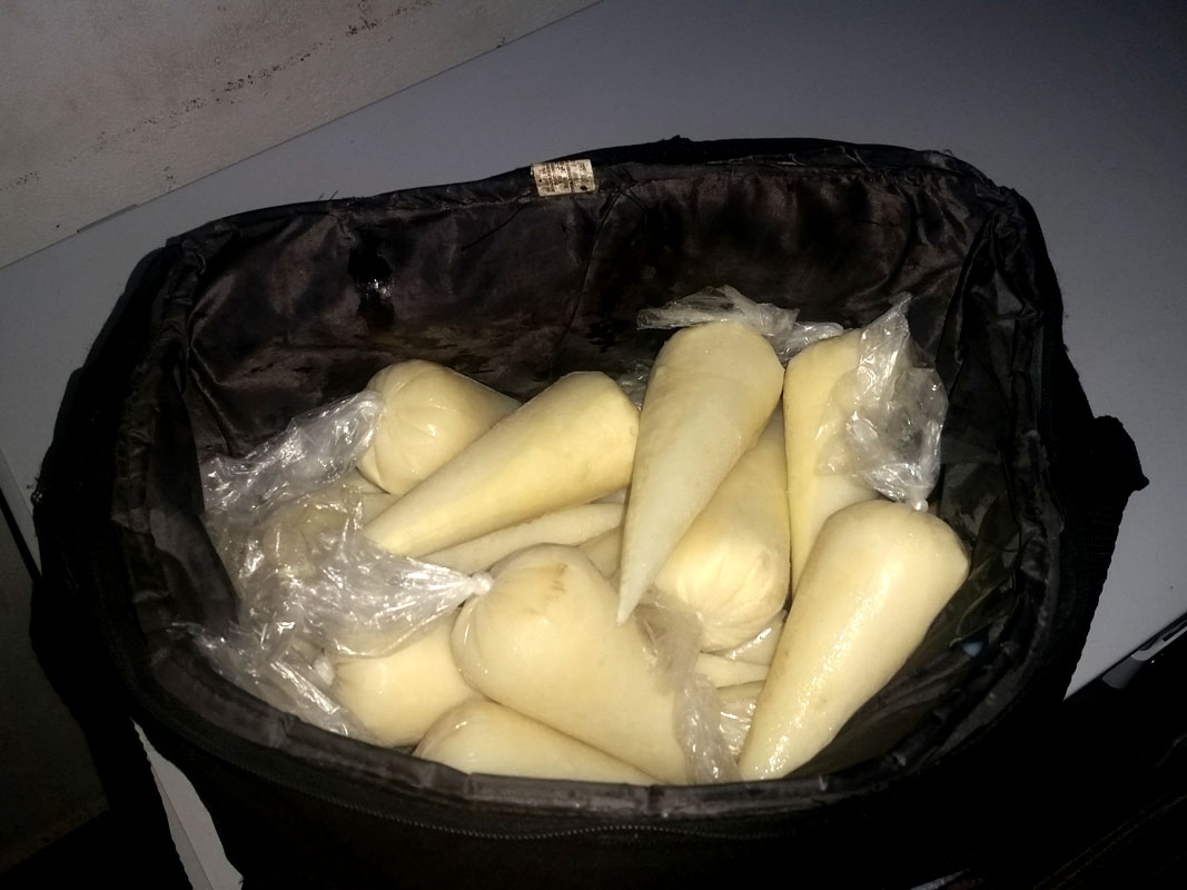 José Leonel Gutiérrez