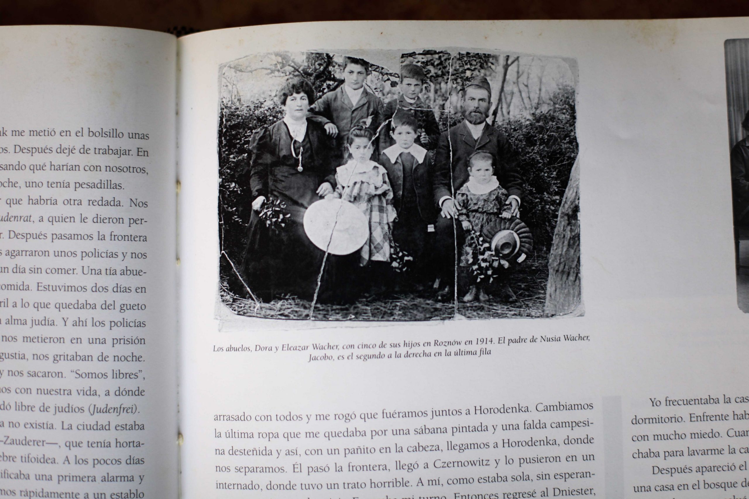 Sobreviviente del Holocausto