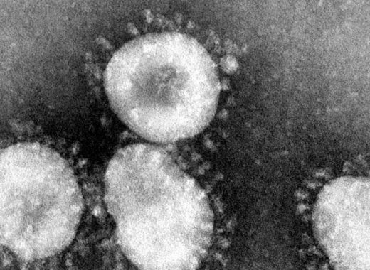 Coronavirus. Archivo