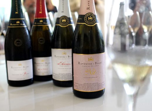 El paladar merece probar vinos de estreno en este nuevo año. A Venezuela llegaron varias etiquetas innovadoras, cada una con su propia característica.