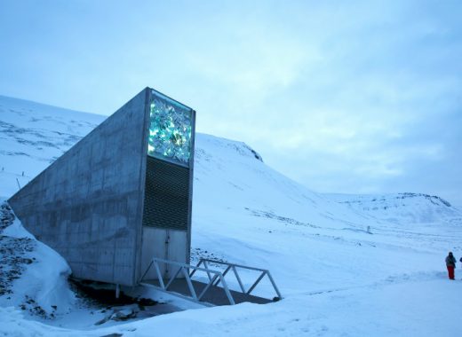 Arca de Noé de semillas en el Ártico. Foto: AFP
