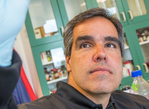 “El virus le dará la vuelta al mundo infectando a todos”