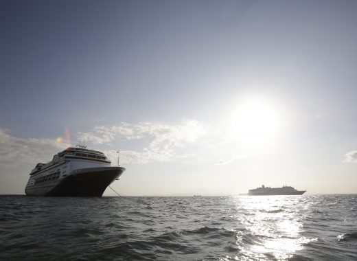 Cruceros de coronavirus