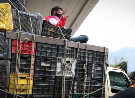 Agricultores y abastecimento de caracas mercados