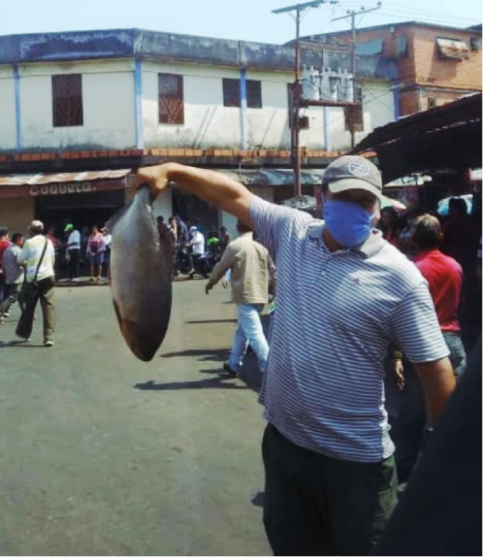 venta de morocoto