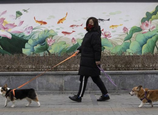 Perros y gatos no pueden transmitir el nuevo coronavirus