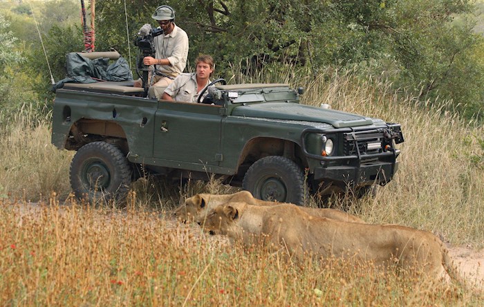 safaris virtuales