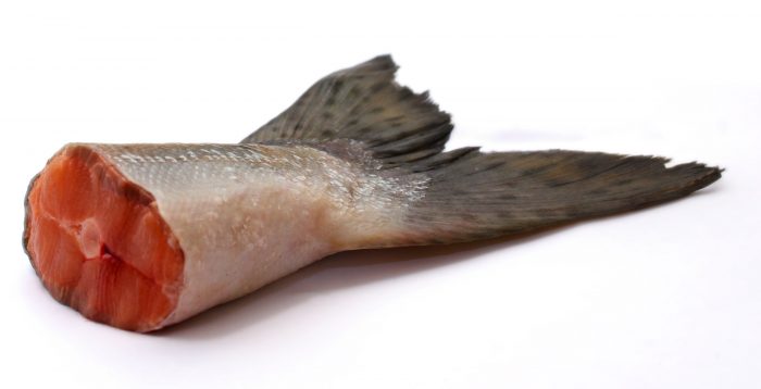 pescado en mal estado o buen estado