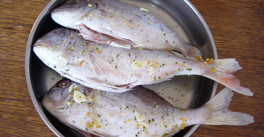 pescado en mal estado o buen estado