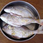 pescado en mal estado o buen estado