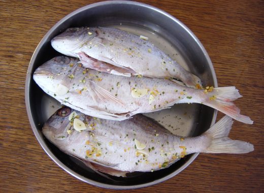 pescado en mal estado o buen estado