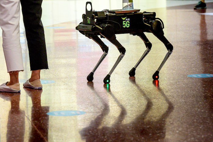 perro robot