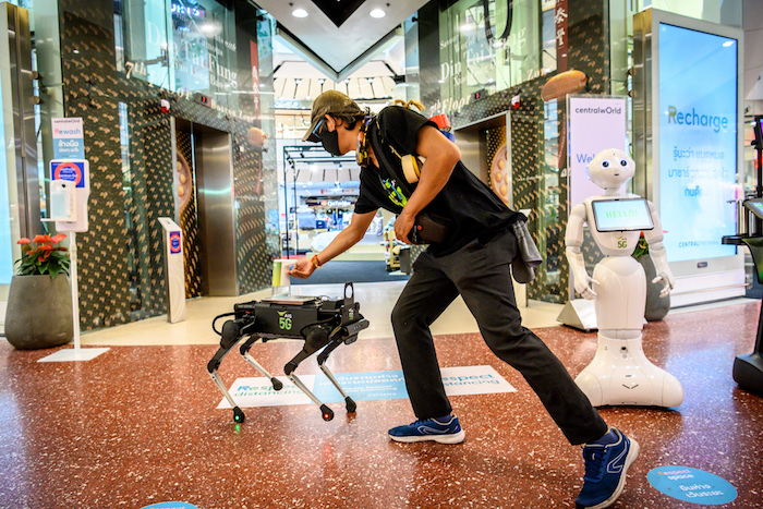 perro robot