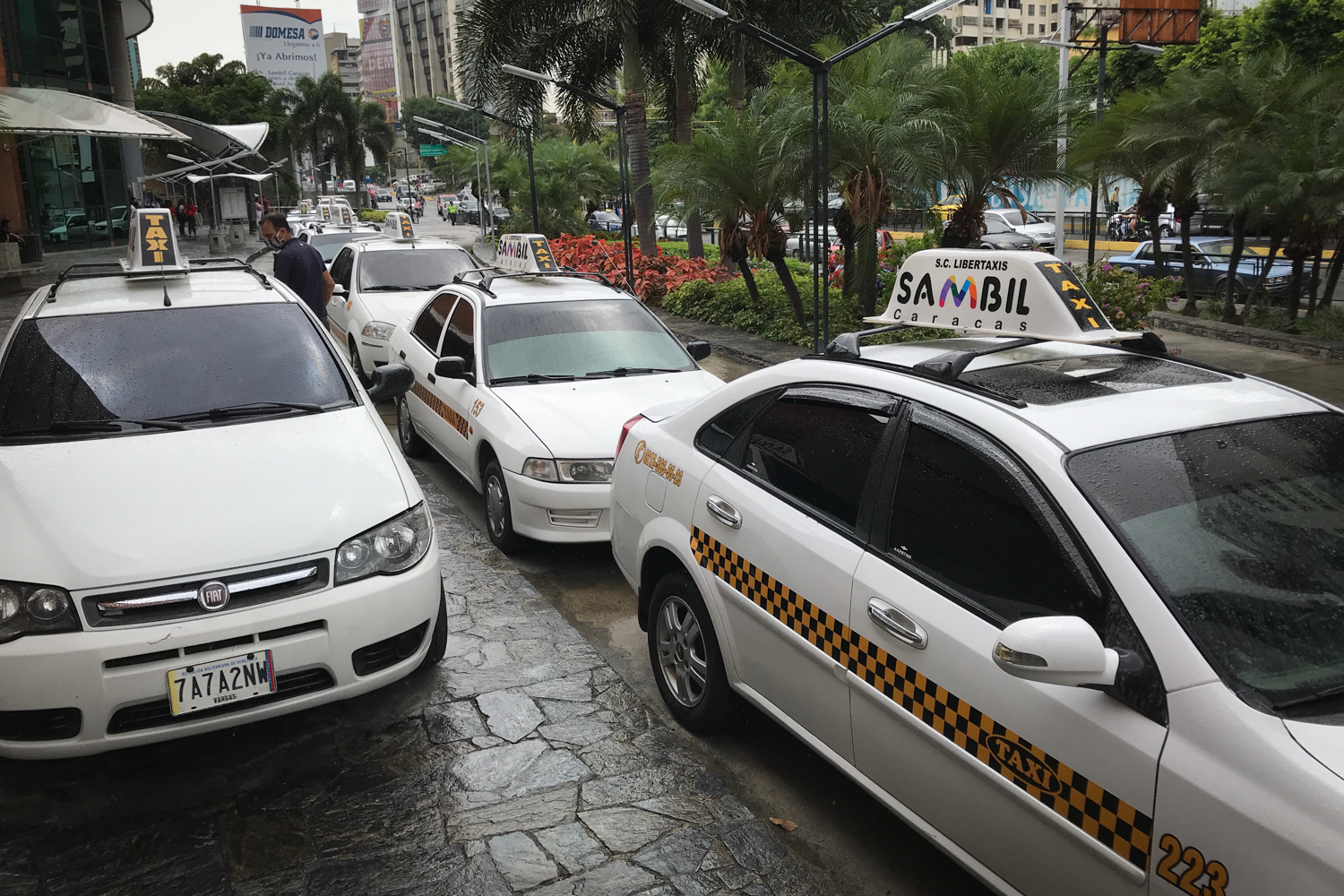 taxis centro sambil