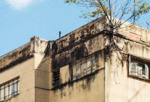 diario como memoria social