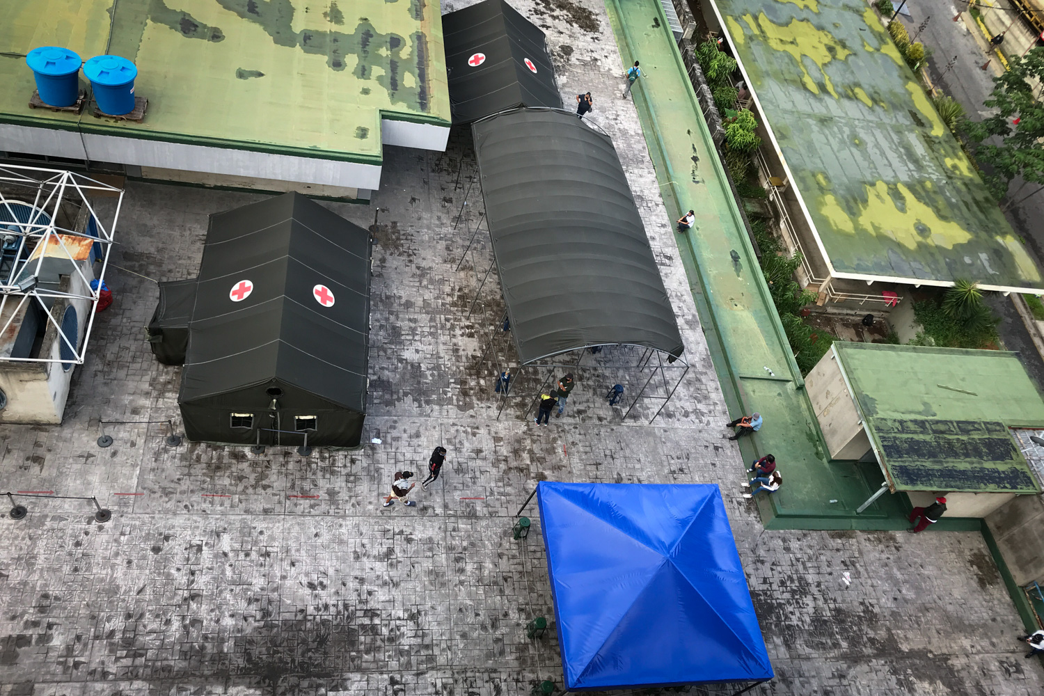 domingo luciani 5 de agosto