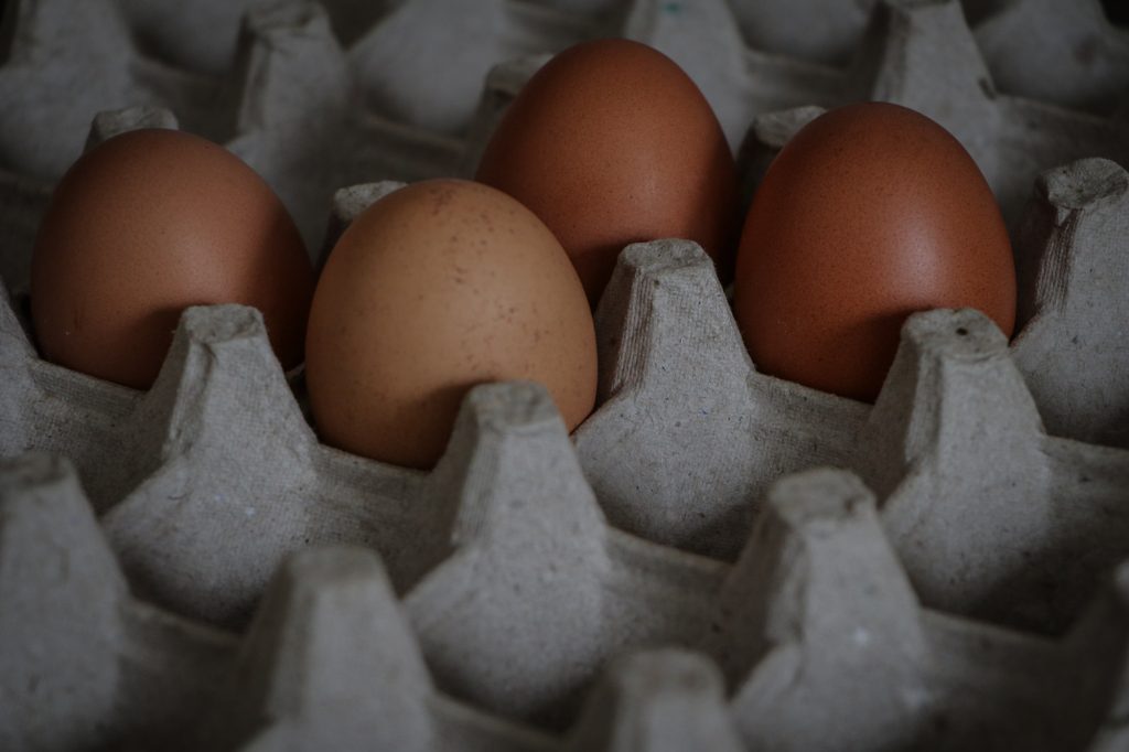 ESCASEZ DE huevos