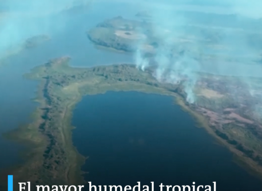 Incendios en la selva amazónica