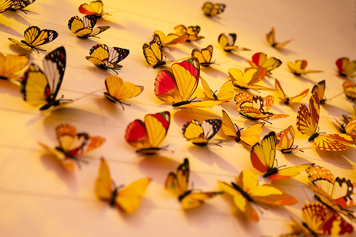 mariposas