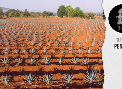 tequila mijenta