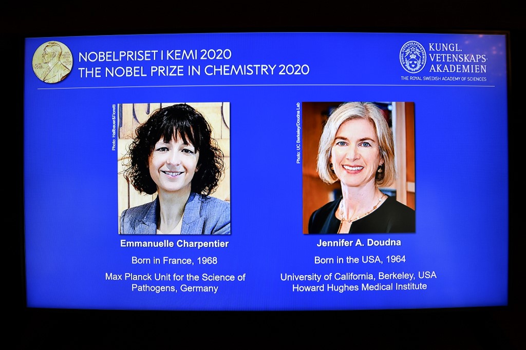 Nobel de quimica