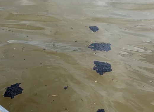nuevo derrame en costas de falcon