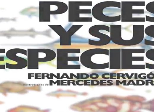 peces y sus especies