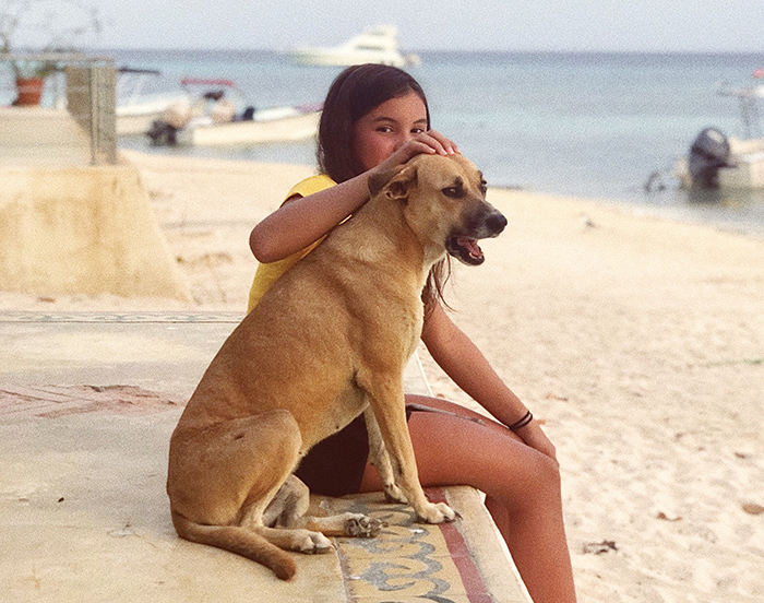 perros