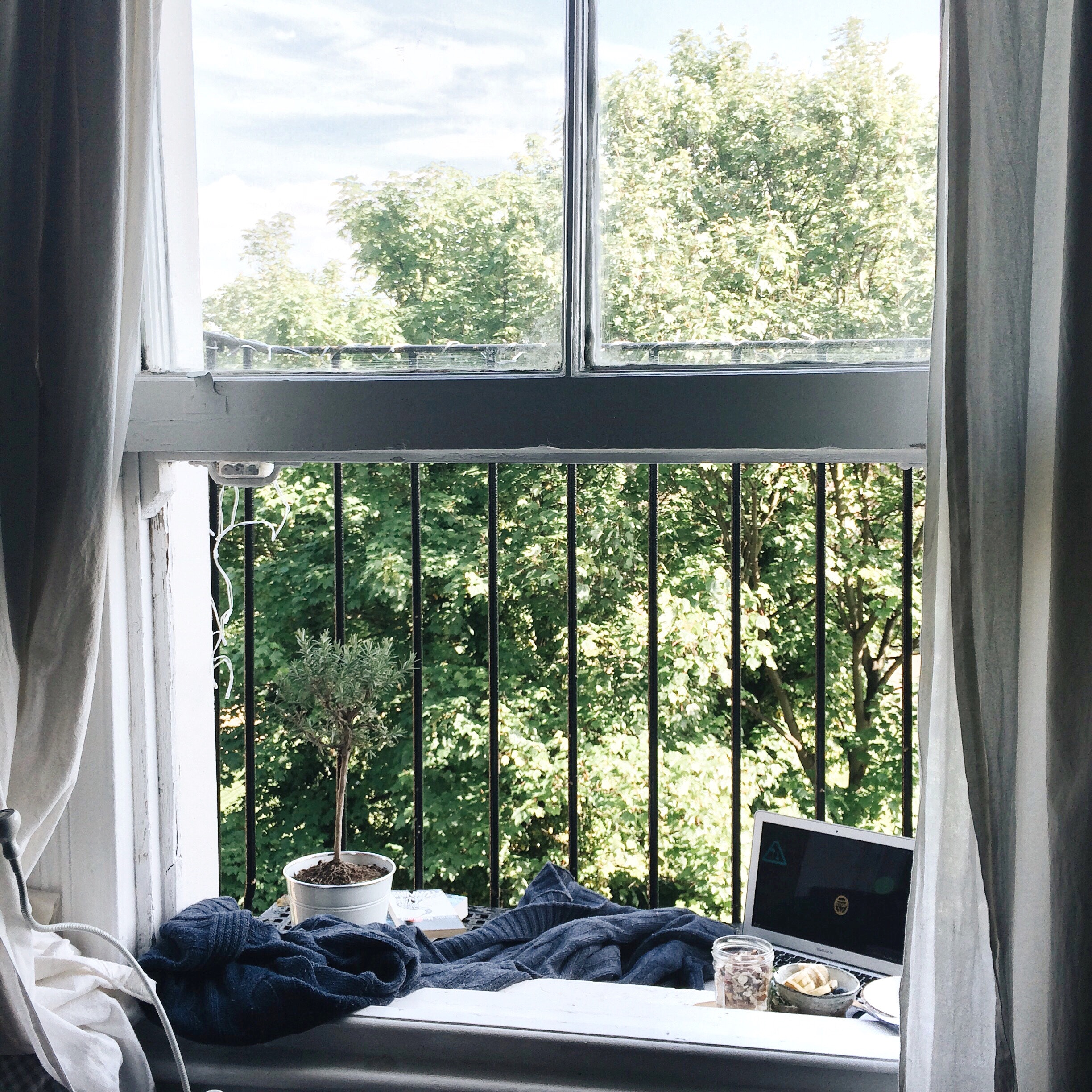 ventana 