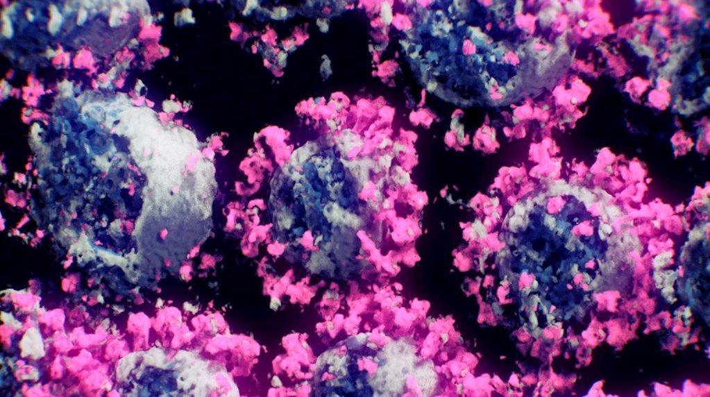 por qué muta el coronavirus