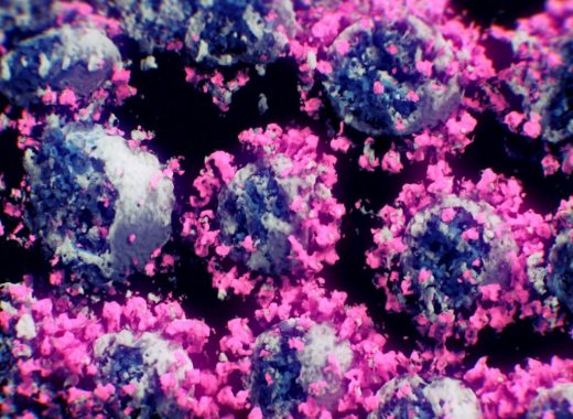 por qué muta el coronavirus