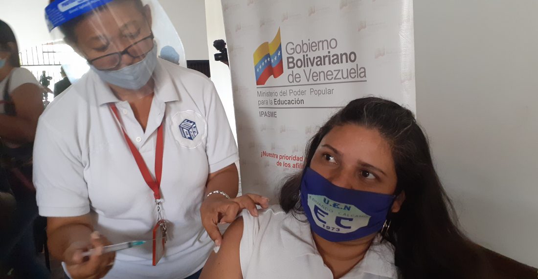 Cepa brasileña