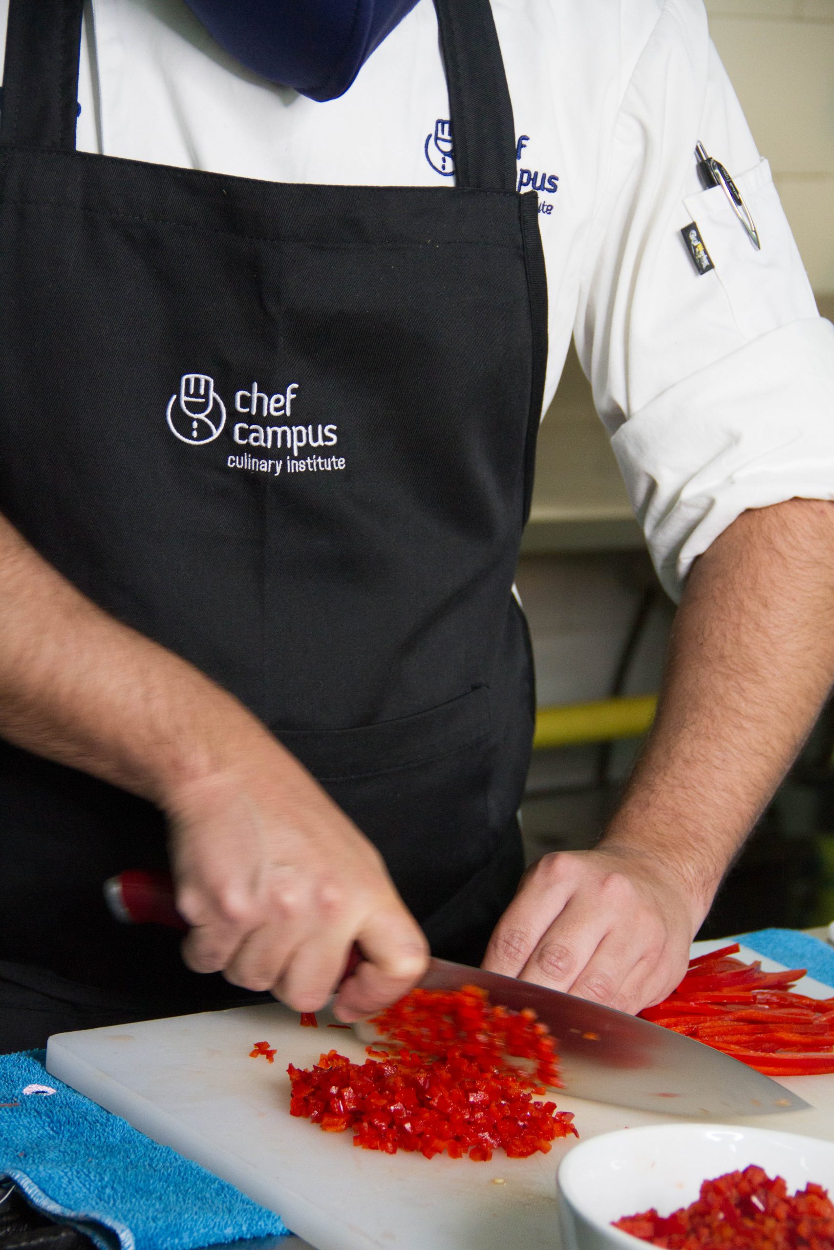 concurso cocina creativa