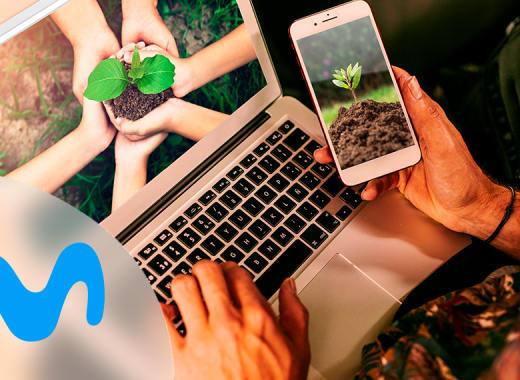 telefónica Movistar