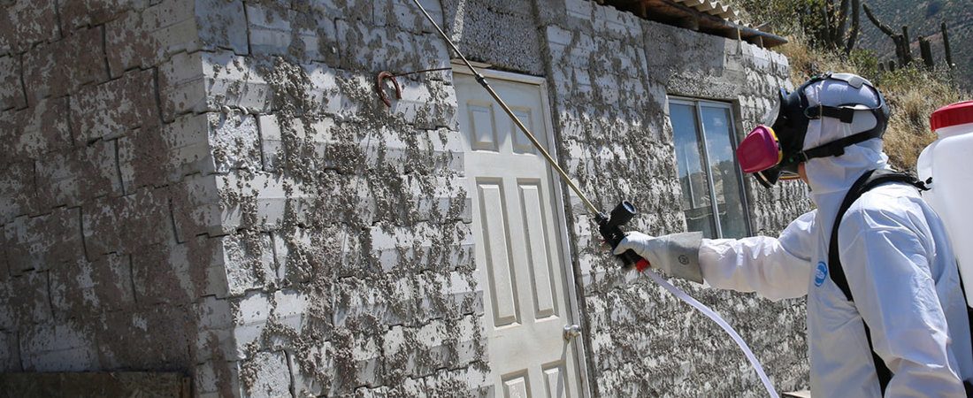 chagas