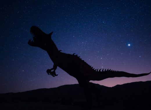 tiranousarios rex