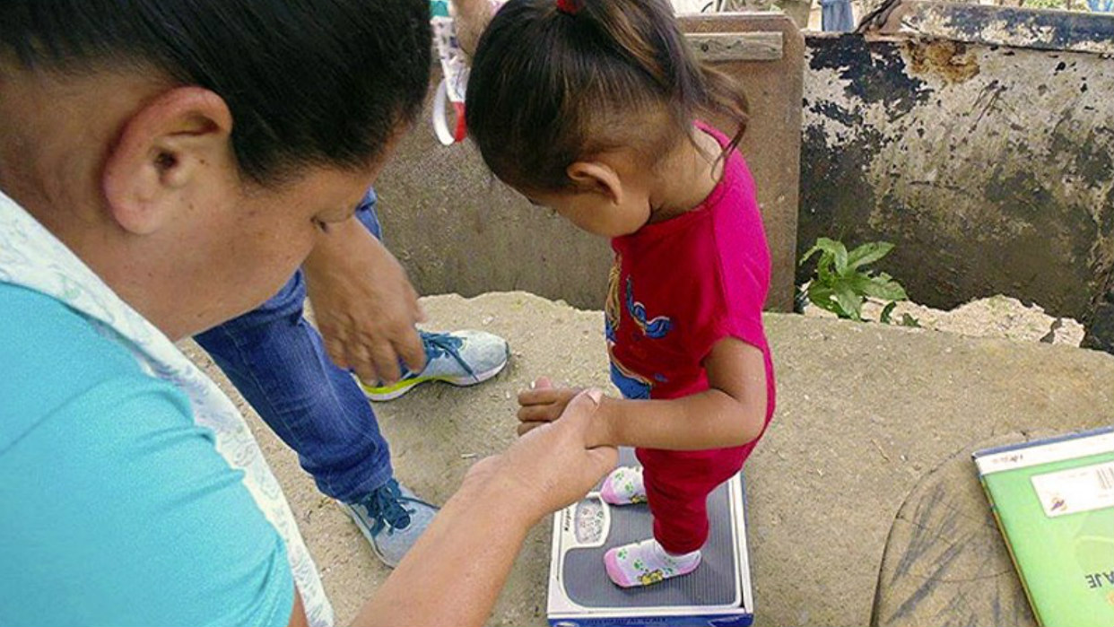 providencia contra ONG