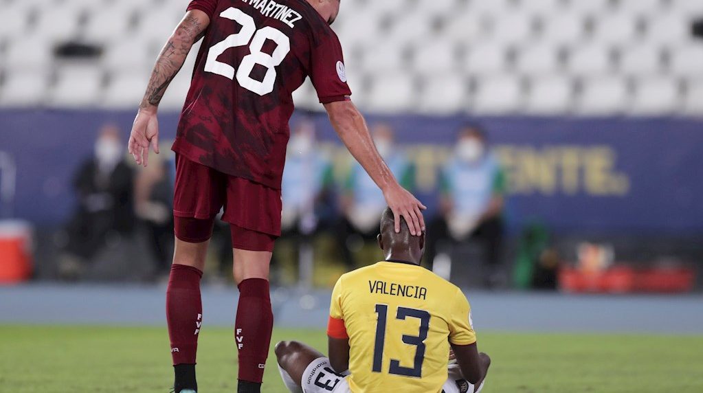 Vinotinto