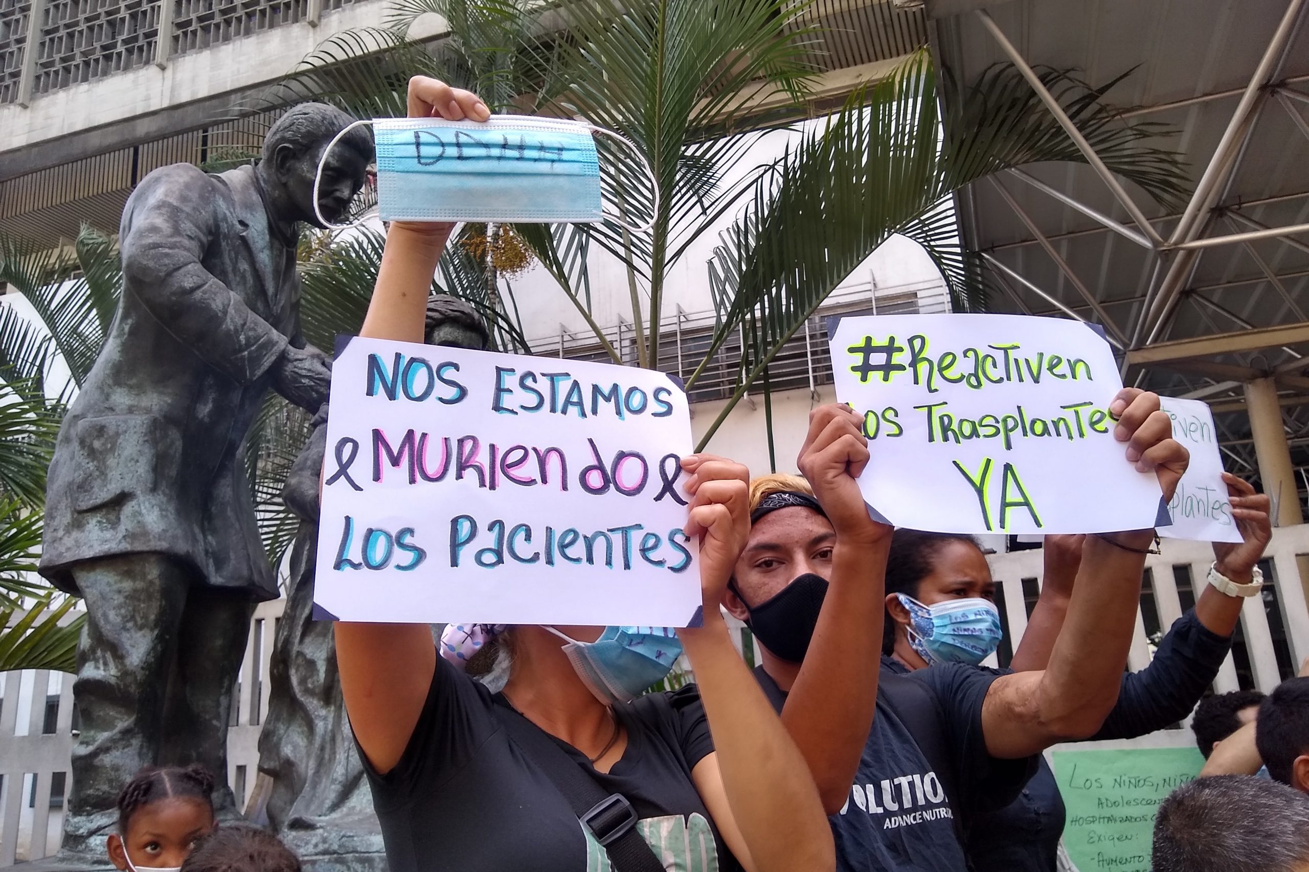trasplantes