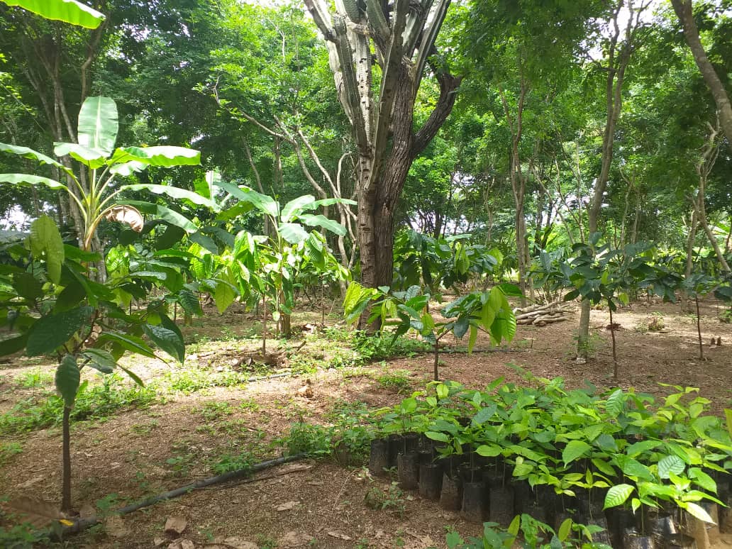 El Quilombo