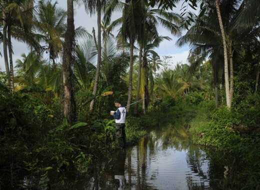 Malaria en Venezuela