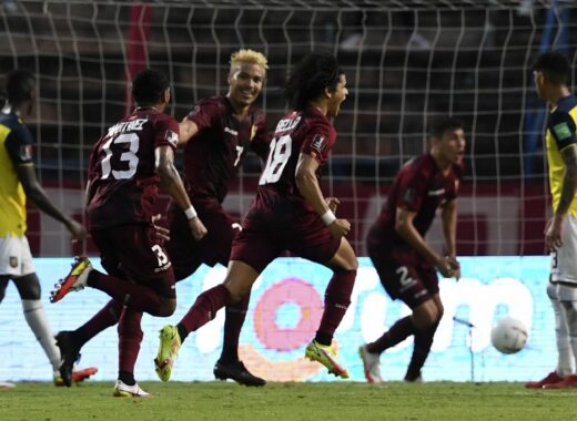 Vinotinto