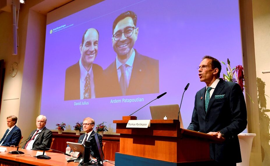 Nobel de Medicina 2021