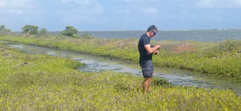  El biólogo español Juan Martín observando las plantacione El biólogo español Juan Martín observando las plantaciones de vegetales marinos.s de vegetales marinos.