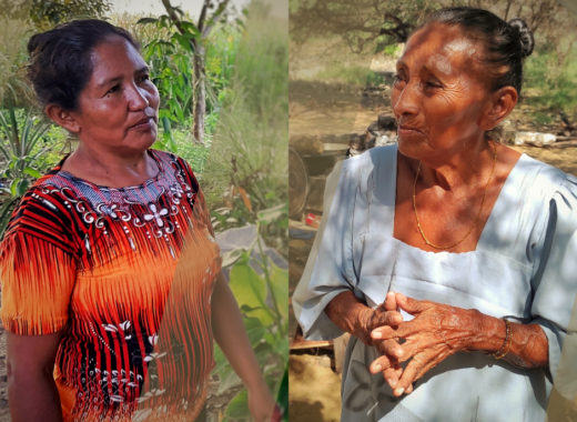 Migraciones Indígenas: wayuu y jivi