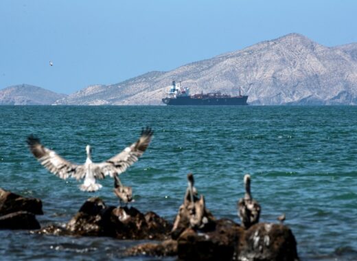 Petróleo venezolano Mercado petrolero