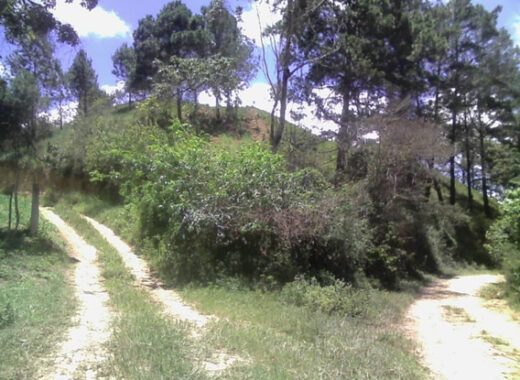 Ruta Gastronómica Yaracuy