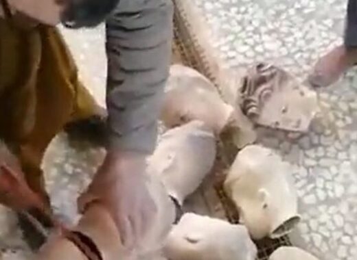 maniquíes