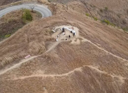 Tejerías enfrentamiento